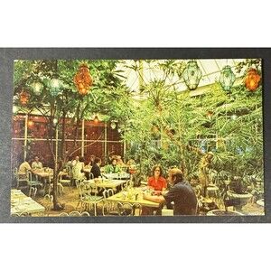 Vintage Kapok Tree Inn Patio Dining Clearwater FL - Vintage Postcard